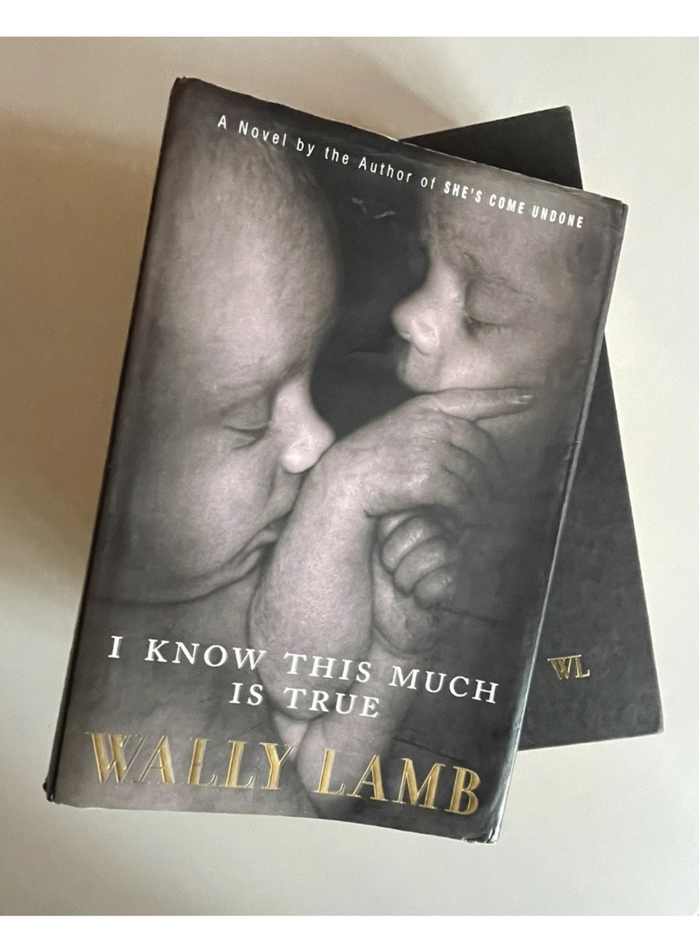 I Know This Much Is True by Wally Lamb Hardcover Book